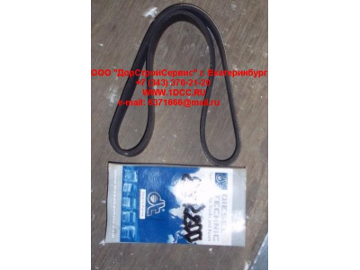 Ремень 8PK800 ЕВРОПА 2.21078 фото 1 Белгород