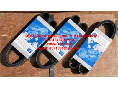 Ремень 8PK1055 ЕВРОПА 2.15363 фото 1 Белгород