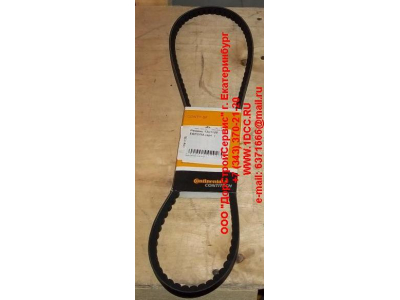 Ремень 13х1125 Европа ЕВРОПА  фото 1 Белгород