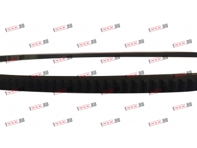 Ремень 13х1250 ЕВРОПА 13x1250 фото 1 Белгород