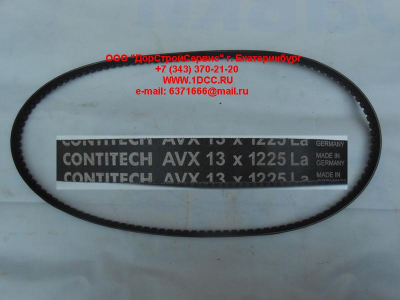 Ремень 13х1225 \Omn MAN,MB,DAF ЕВРОПА AVX13X1225 фото 1 Белгород